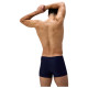 Speedo Ανδρικό μαγιό Mens Duo Logo Print Aquashorts